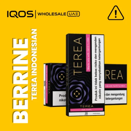 Terea Berrine Indonesia for IQOS ILUMA in Dubai UAE, clove menthol tobacco sticks with fruity floral notes, wholesale and retail