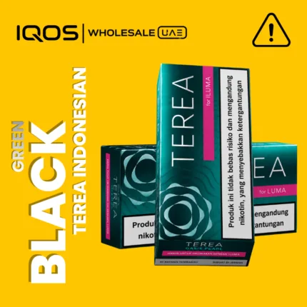 Terea Black Green Indonesia for IQOS ILUMA in Dubai UAE, intense menthol tobacco sticks with green fruit notes, wholesale and retail