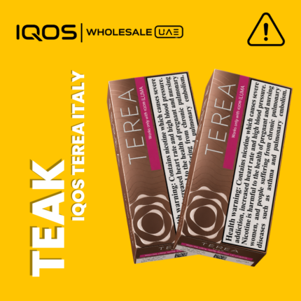Terea Teak Italy for IQOS ILUMA in Dubai UAE, premium warm woody and nutty classic tobacco sticks, wholesale and retail