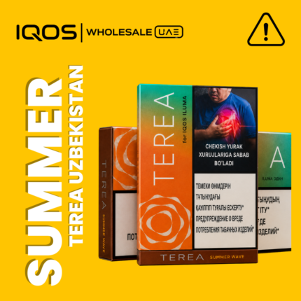 Terea Summer Wave Uzbekistan for IQOS ILUMA in Dubai UAE, ripe peach and menthol tobacco sticks, wholesale and retail